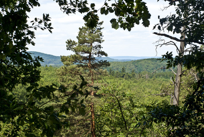 Thüringer Wald Aussichten