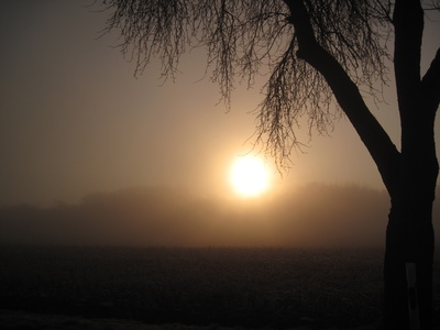 Morgens wenn die Sonne kommt