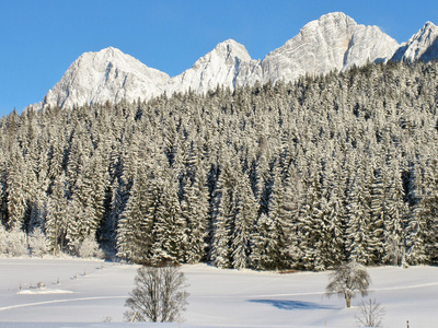 Dachstein (A)