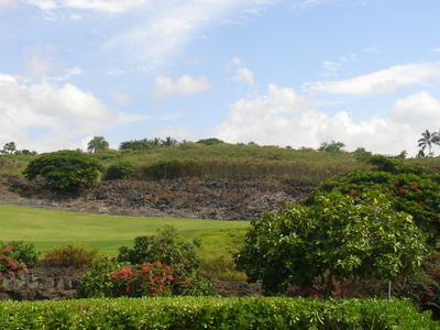 Landschaft nahe Kailua/Kona