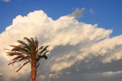 Wolken über Palmen