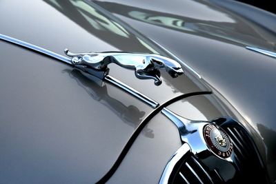 Jaguar MK2 - Detail Kühlerfigur