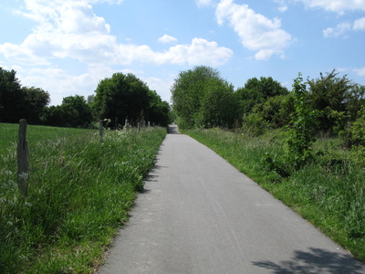 Radweg in der Nähe von Boltenhagen