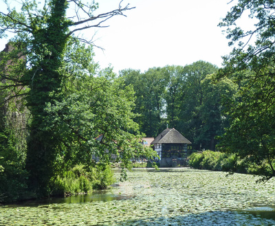 Mühle am Weiher