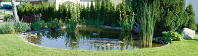 Frühling am Teich