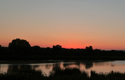 Abend am Sabie-River