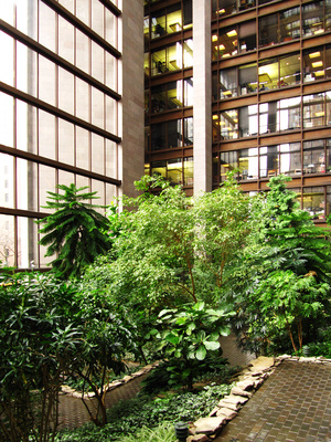 NYC - Bürohaus mit Wintergarten