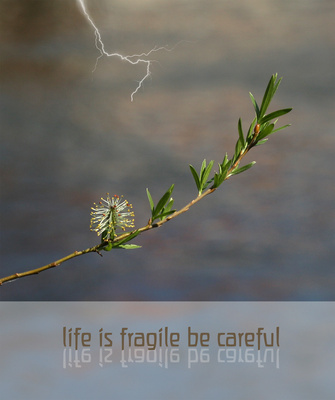 Life is fragile