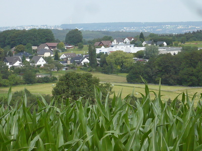 Grürmannsheide im Sauerland