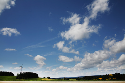 Windkraft und Natur