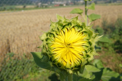 habs geschafft