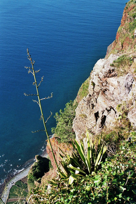 Madeira Südküste