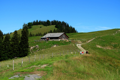 Alp unterhalb Klein Aubrig