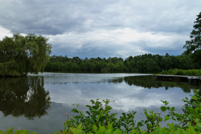 Am See