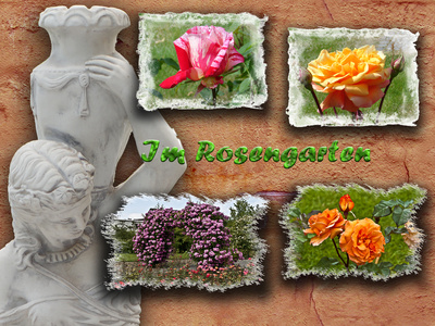 im Rosengarten