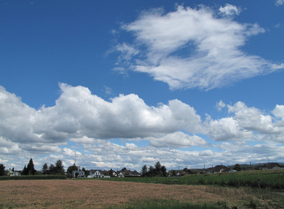 Felder und Wolken