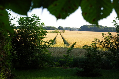 der Weg in den Pfuhl