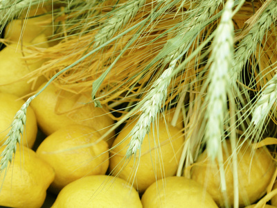Zitronen und Getreide