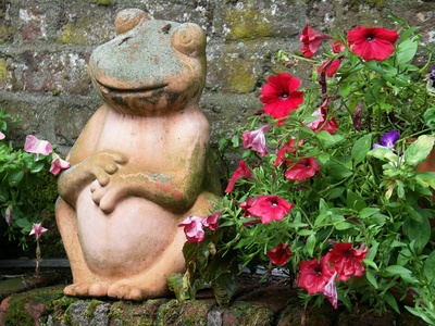 Hier bin ich Frosch, hier darf ich´s sein Hier bin ich Frosch, hier darf ich´s sein