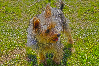 lili in hdr