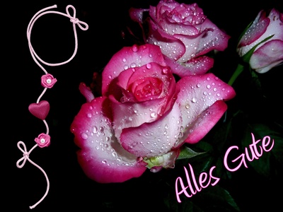 Alles Gute