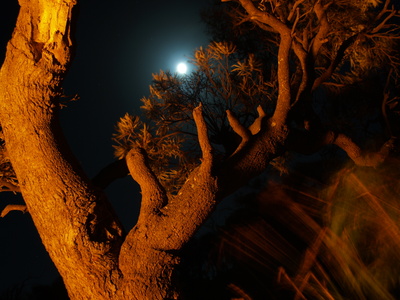 Western Australian full moon