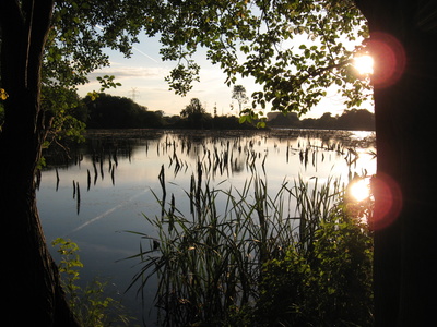 Sonnenuntergang am Flemhuder See