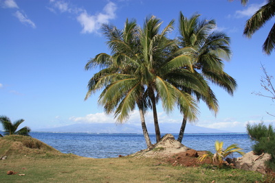 Blick nach Tahiti