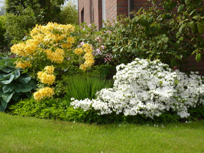 Blätter u. Blumen