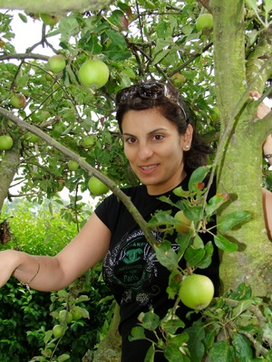 Frau im Apfelbaum