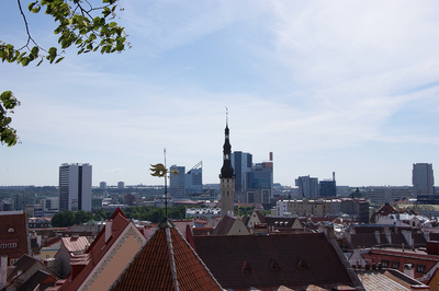 Aussicht vom Domberg in Tallinn