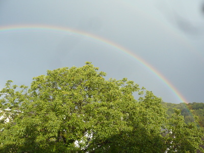 Regenbogen im Sauerland