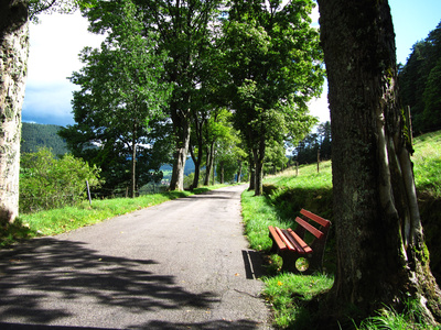 Panoramastraße im Murgtal bei Baiersbronn