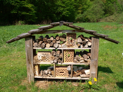 Insektenhaus