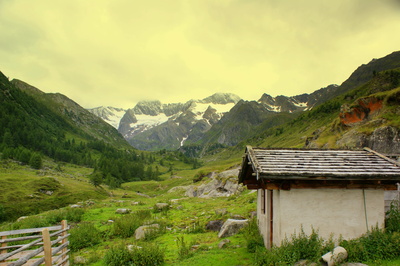 Auf der Alm