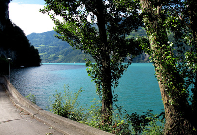 Am Walensee