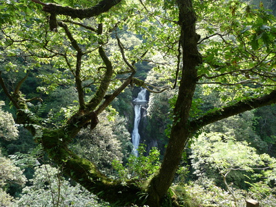 Wasserfall bei Devilsbridge in Wales