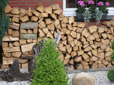 Holz vor der Tür