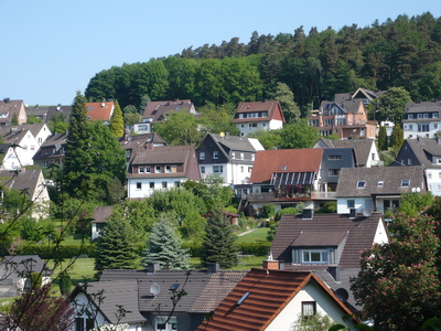 Ein Stück Sauerland Natur