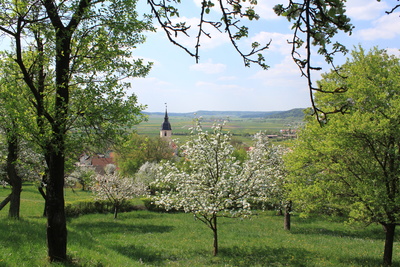 Wandern im Frühling