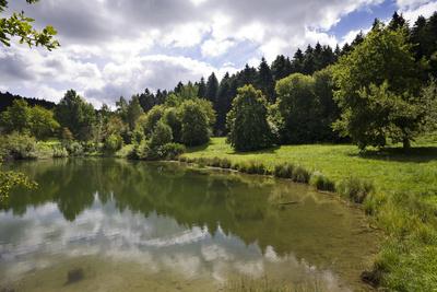 Natur pur - Tumlinger See