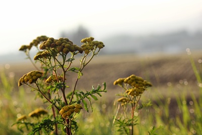 Ein Bild vom Herbst