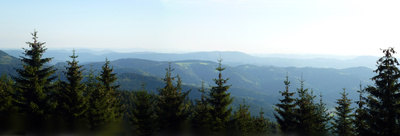 Schwarzwald-Panorama