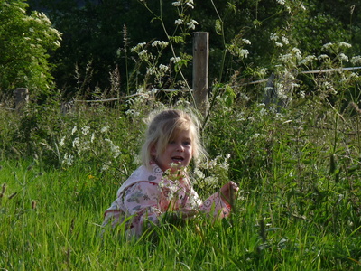 kleines Mädchen beim Blumenpflücken