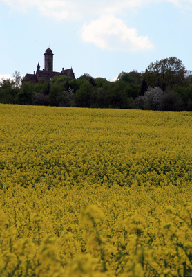 Altenburg im Frühling