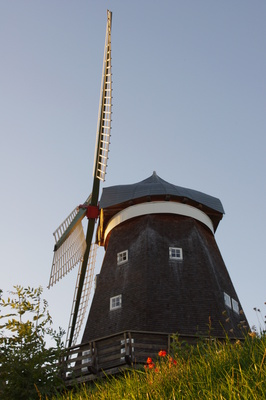 Holländerwindmühle in Röbel/Müritz