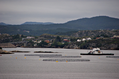 Fischzucht in Norwegen