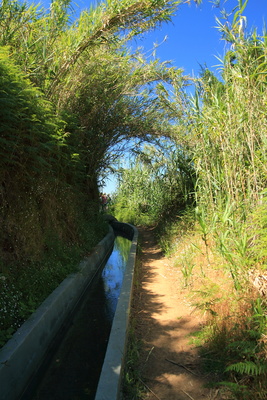 Levada