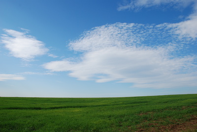 blau und grün