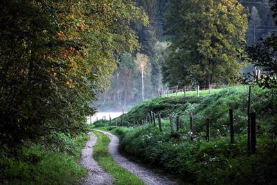 Herbstwege